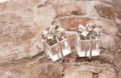 Fashion Exquisite gift box earrings  Eh00315silver