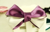 Lovely ribbon bowknot barrette  Fj00006winered