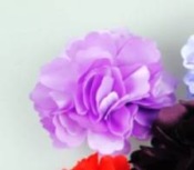  Camellia barrette  Fj00030purple